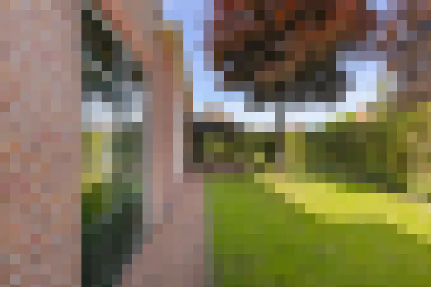 Hoofdstraat 13 Eenrum thumbnail 14