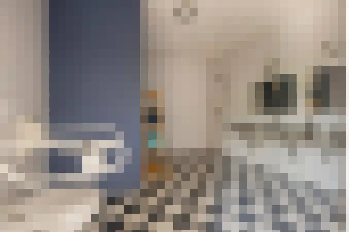 Hoofdstraat 13 Eenrum thumbnail 33
