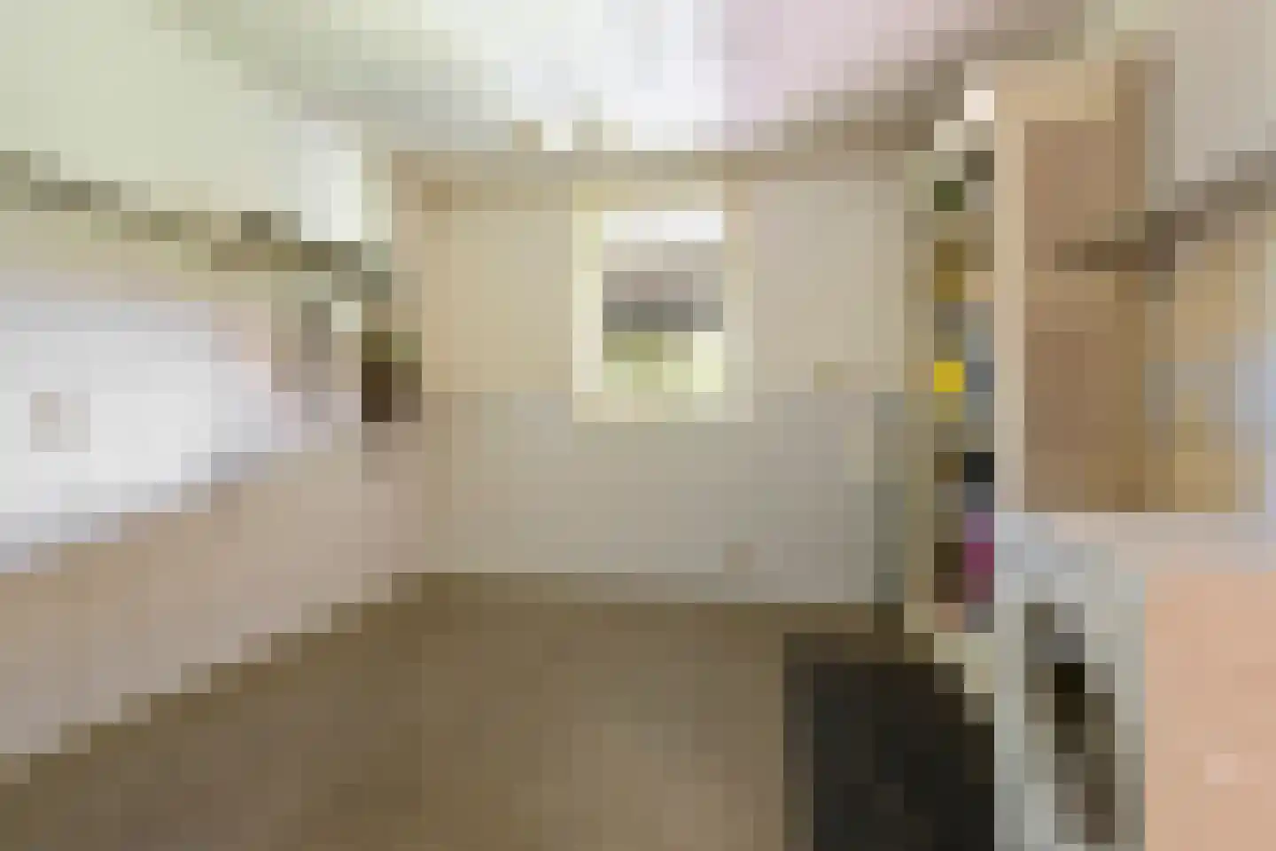 Hoofdstraat 13 Eenrum thumbnail 35