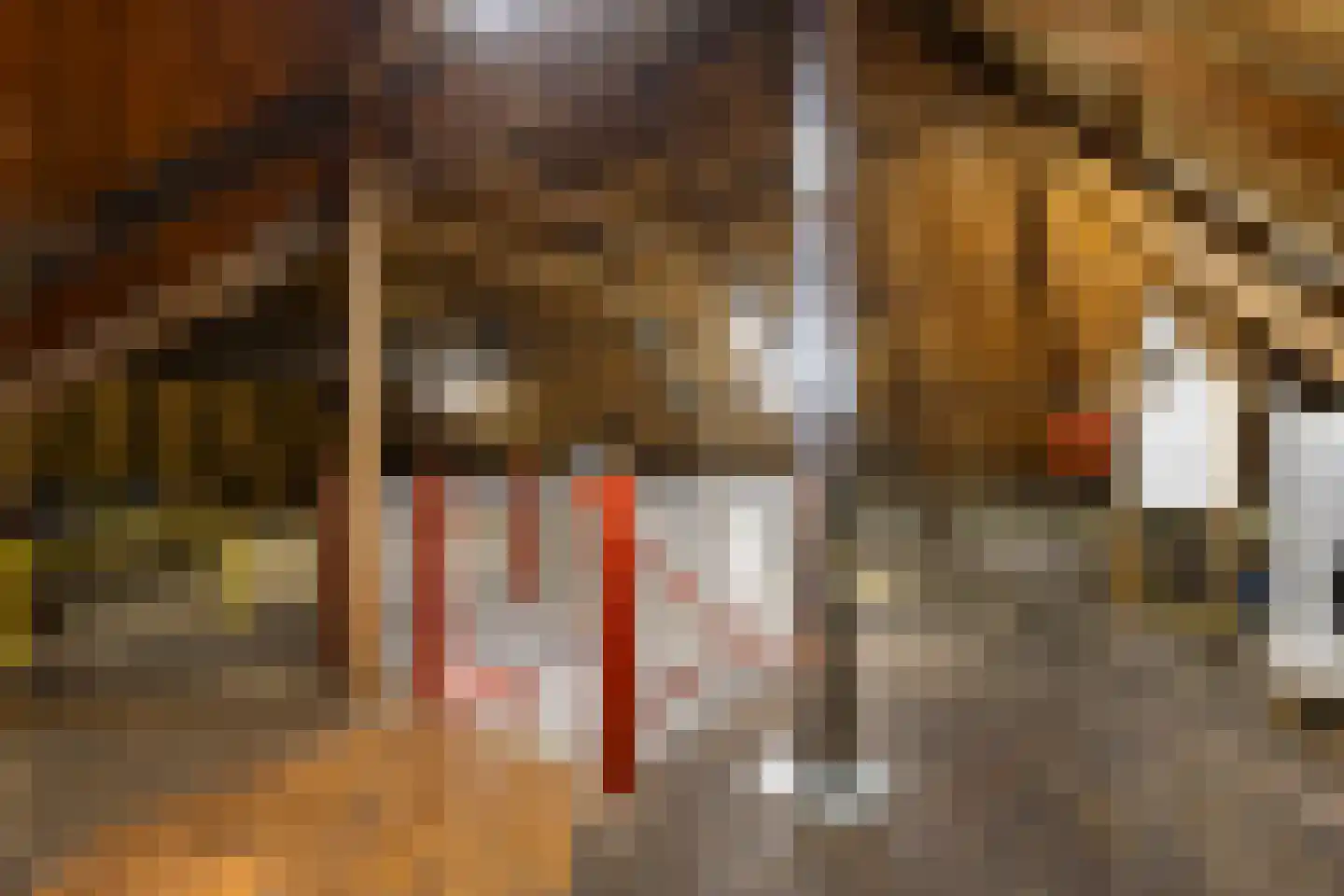 Hoofdstraat 13 Eenrum thumbnail 37