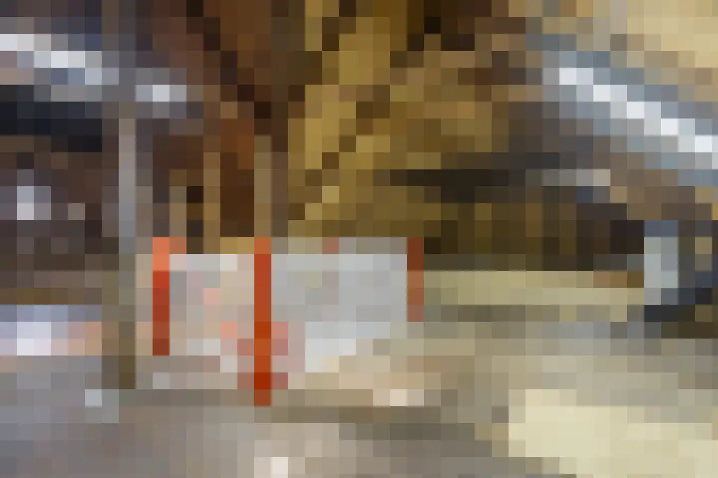 Hoofdstraat 13 Eenrum thumbnail 38
