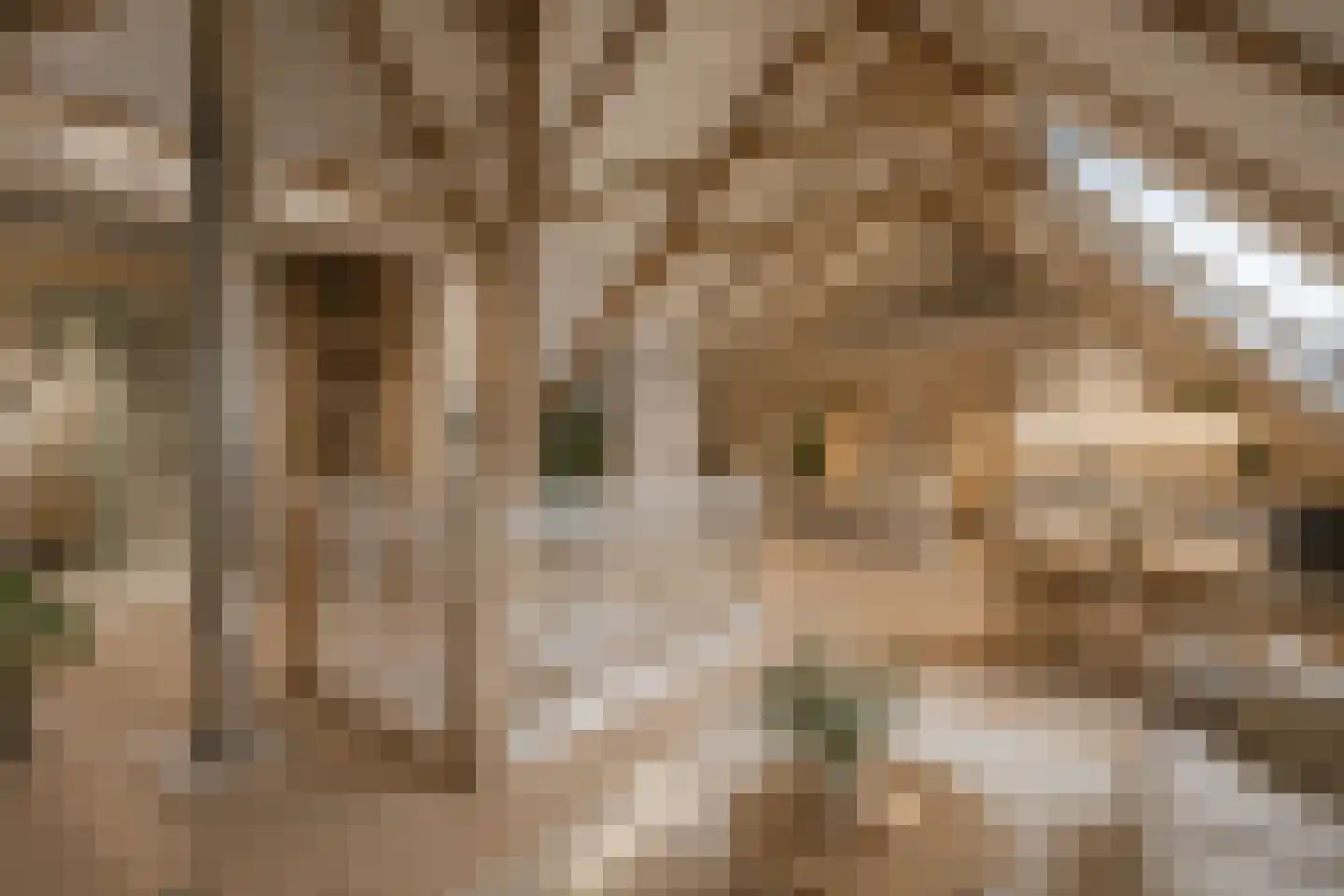 Hoofdstraat 13 Eenrum thumbnail 39