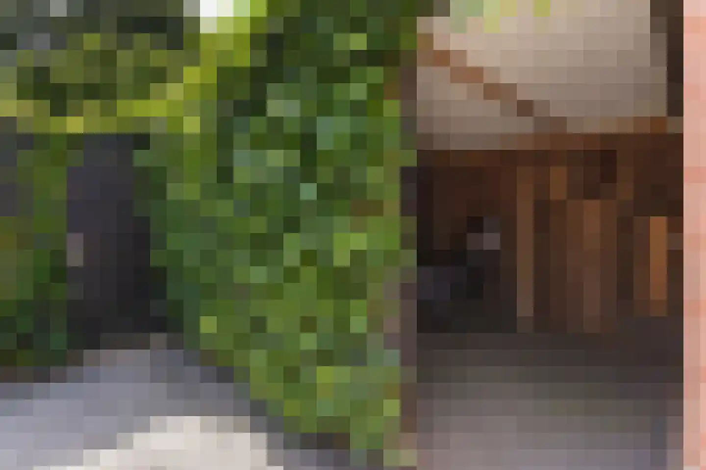 Hoofdstraat 13 Eenrum thumbnail 42