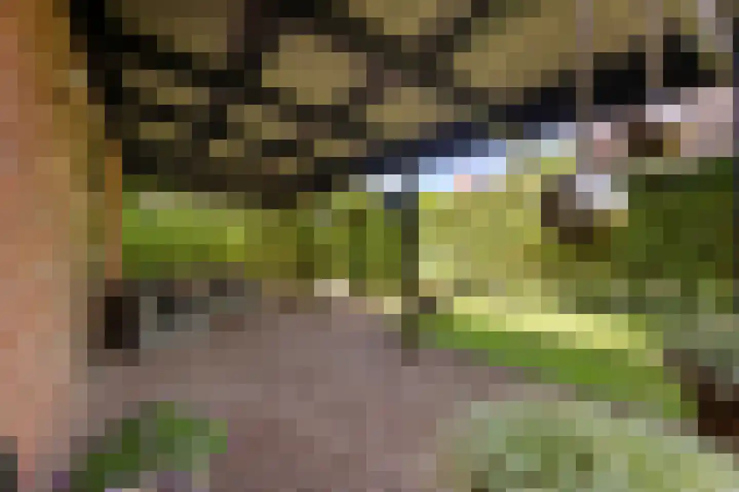 Hoofdstraat 13 Eenrum thumbnail 44