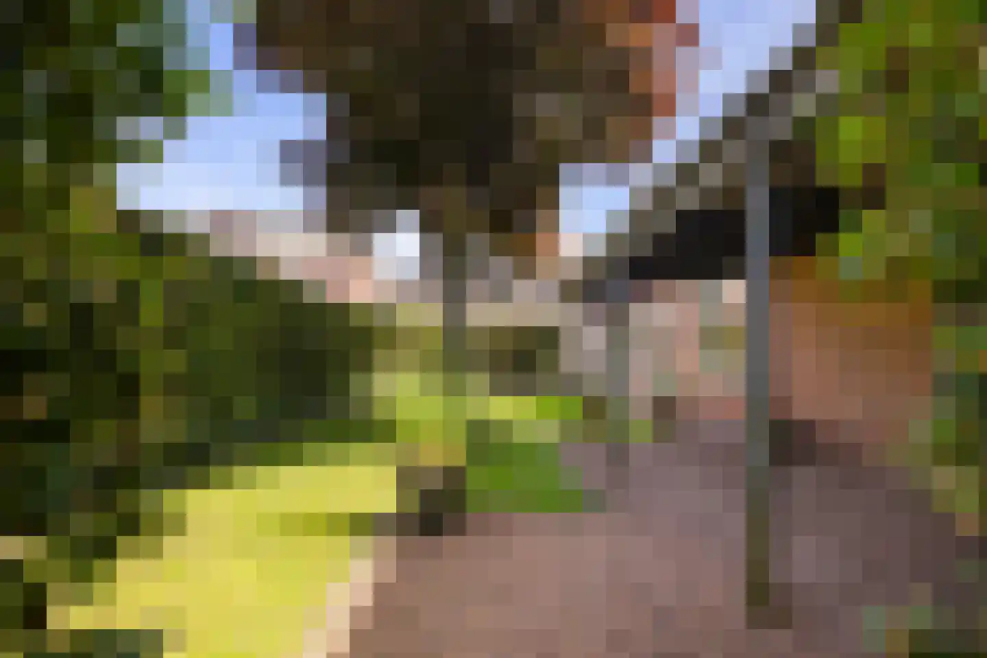 Hoofdstraat 13 Eenrum thumbnail 46