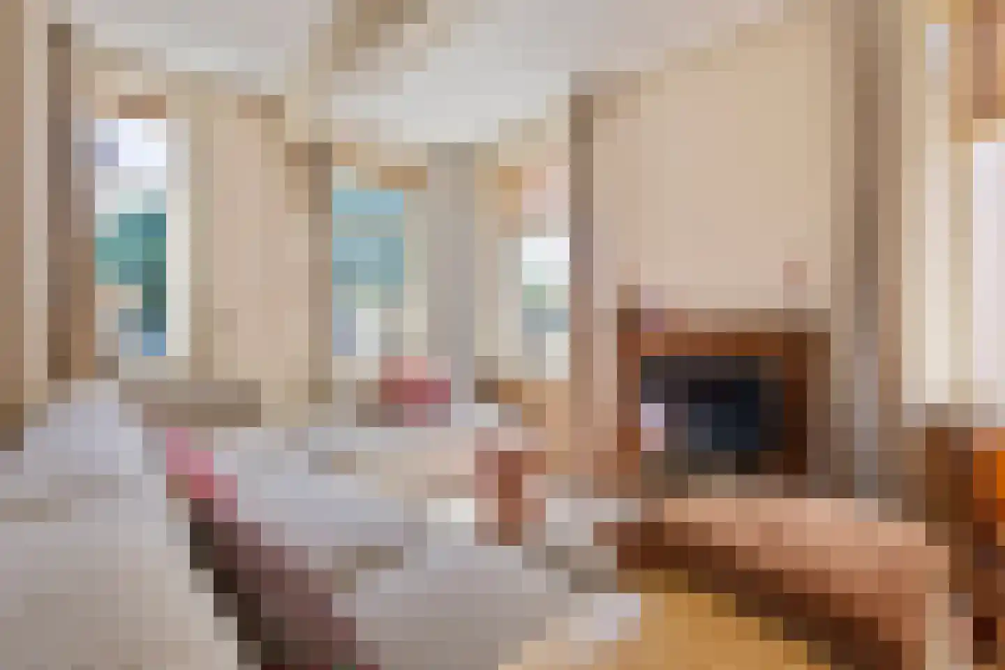 Hoofdstraat 13 Eenrum thumbnail 53