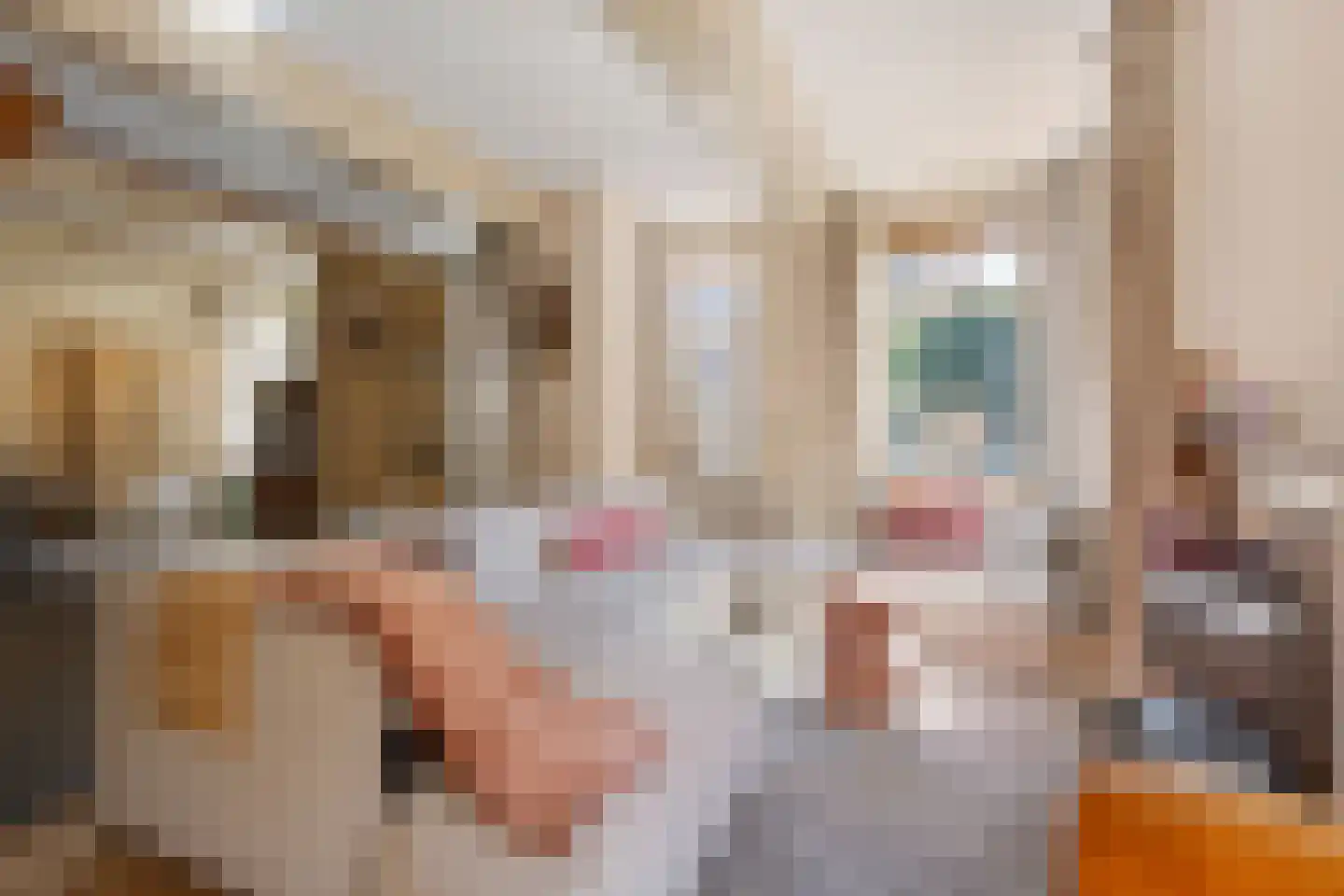 Hoofdstraat 13 Eenrum thumbnail 54