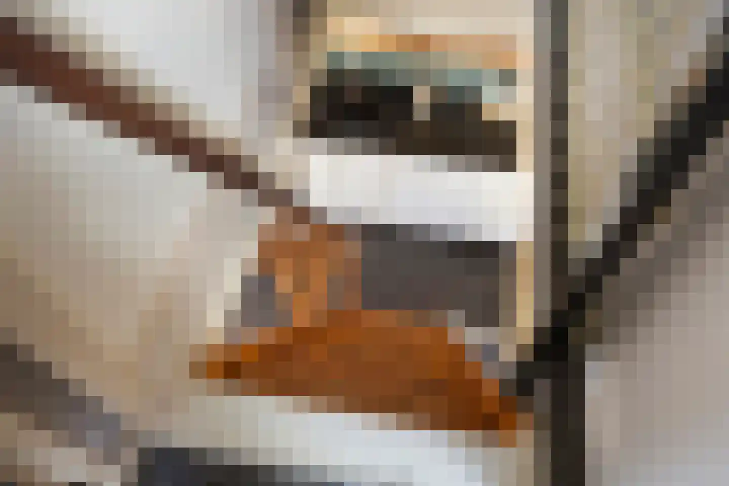 Hoofdstraat 13 Eenrum thumbnail 64