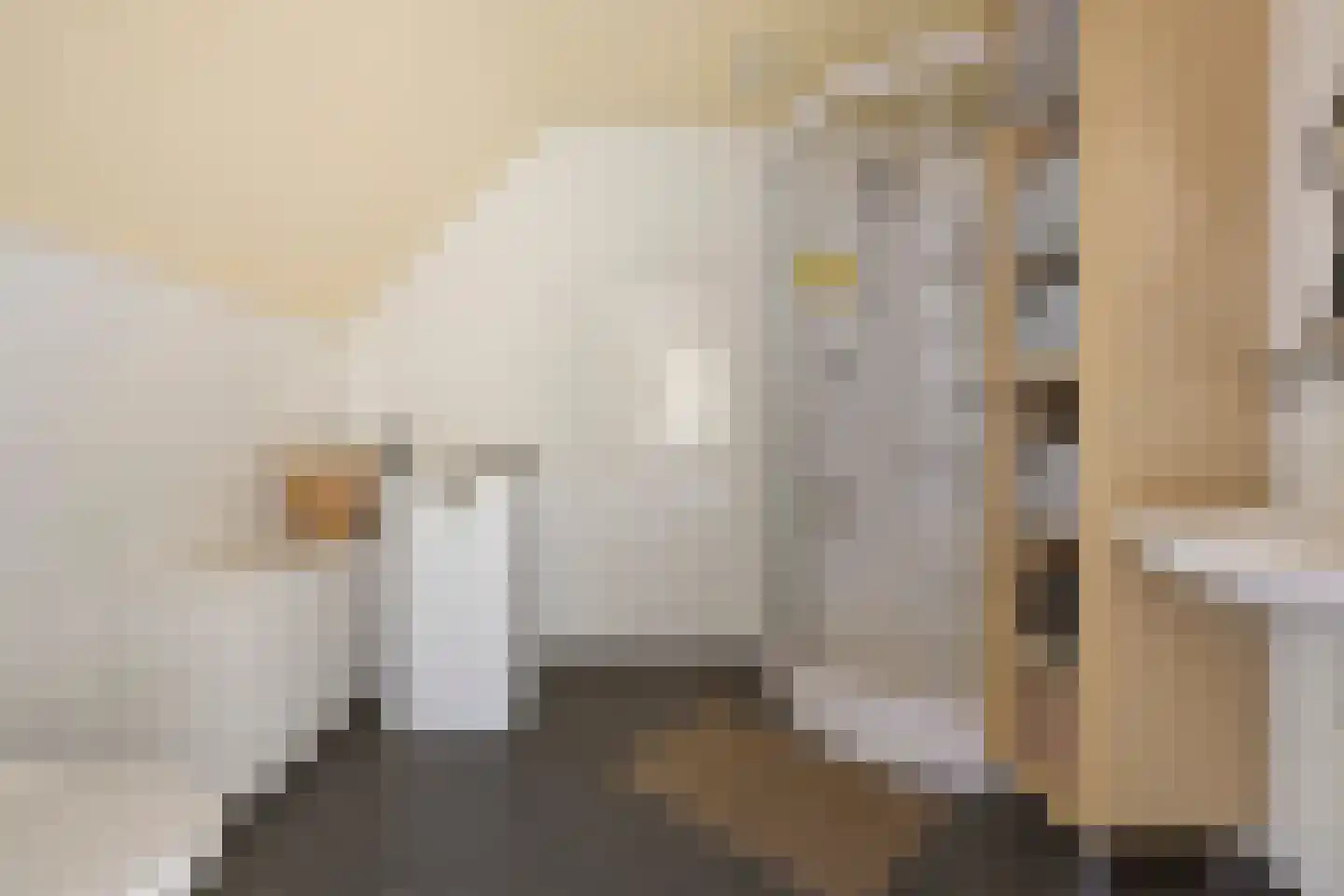 Hoofdstraat 13 Eenrum thumbnail 71