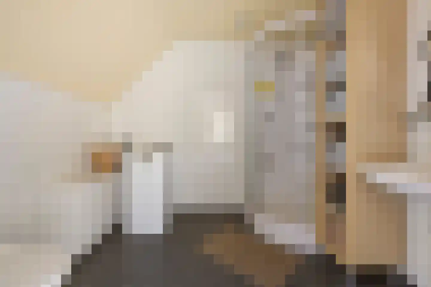 Hoofdstraat 13 Eenrum thumbnail 71
