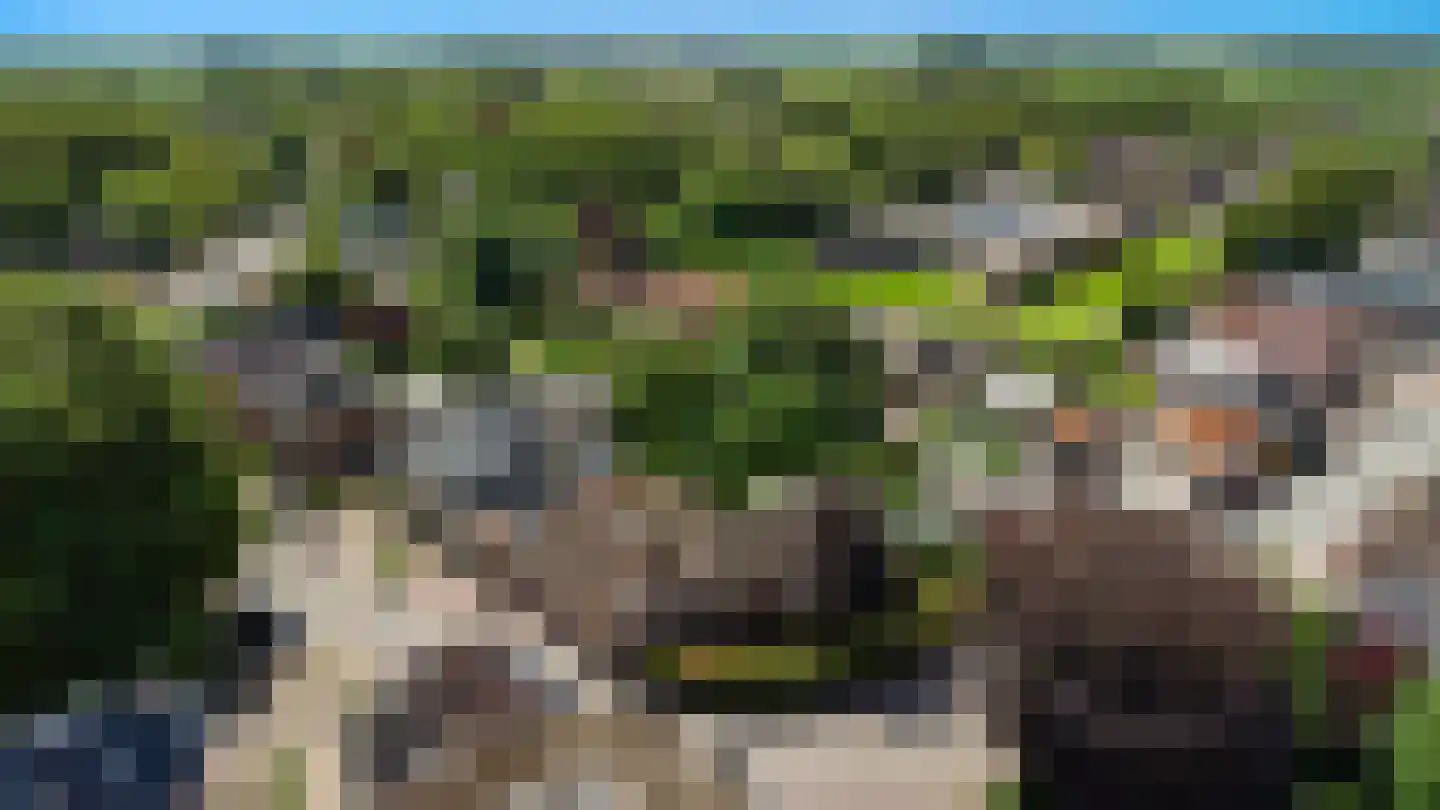 Hoofdstraat 13 Eenrum thumbnail 74