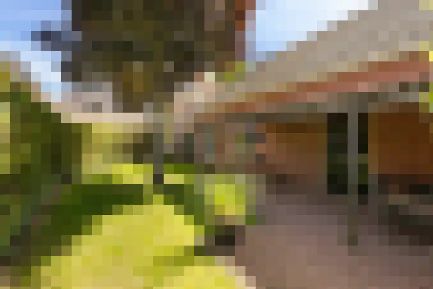 Hoofdstraat 13 Eenrum thumbnail 9