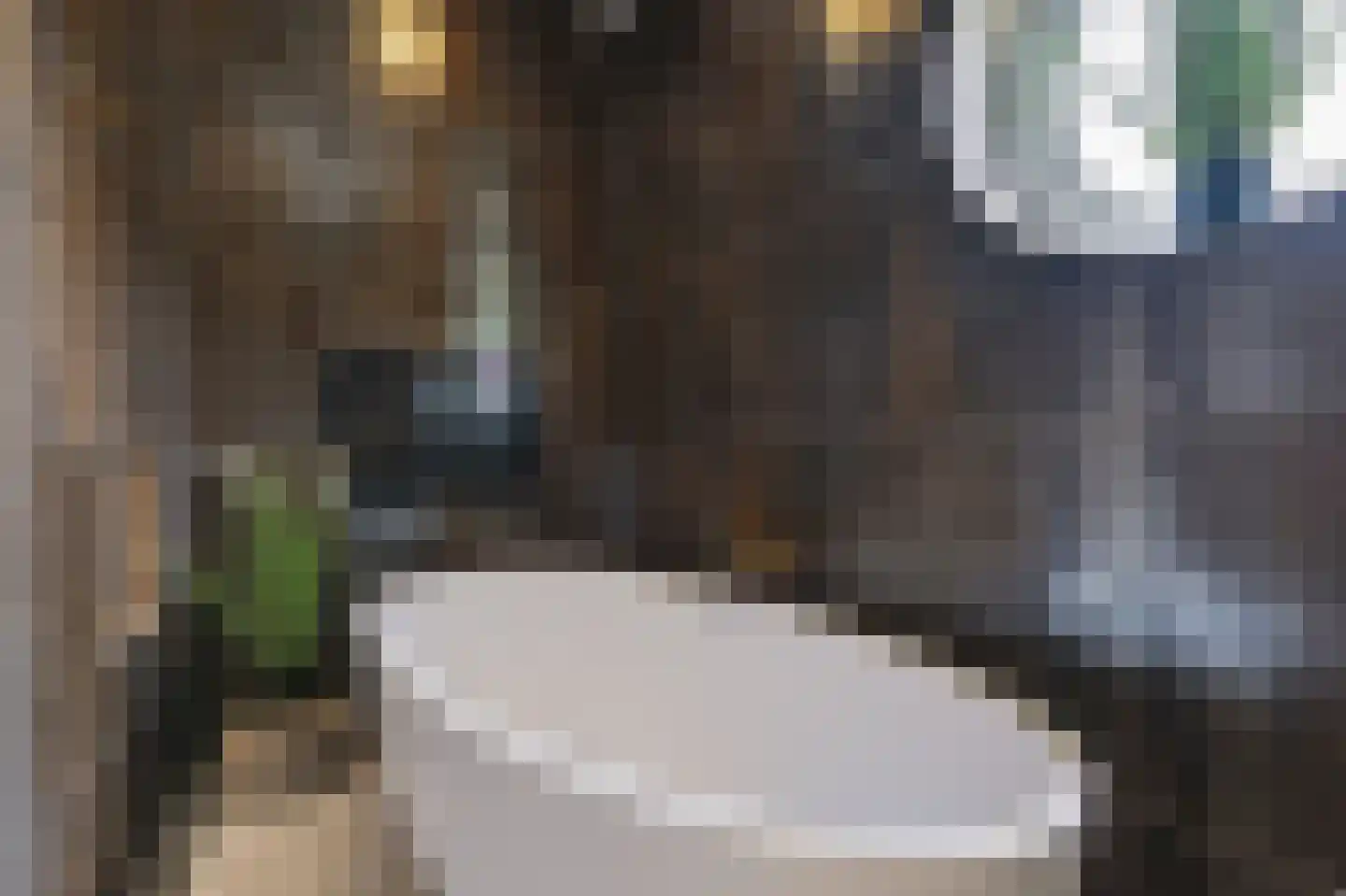 Hoofdstraat 132 A Voorthuizen thumbnail 31