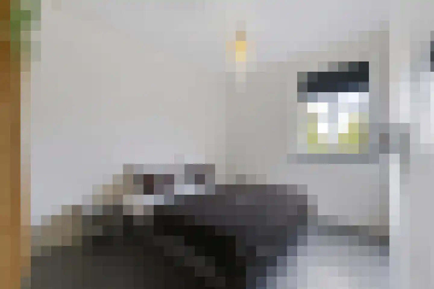 Hoofdstraat 132 A Voorthuizen thumbnail 35
