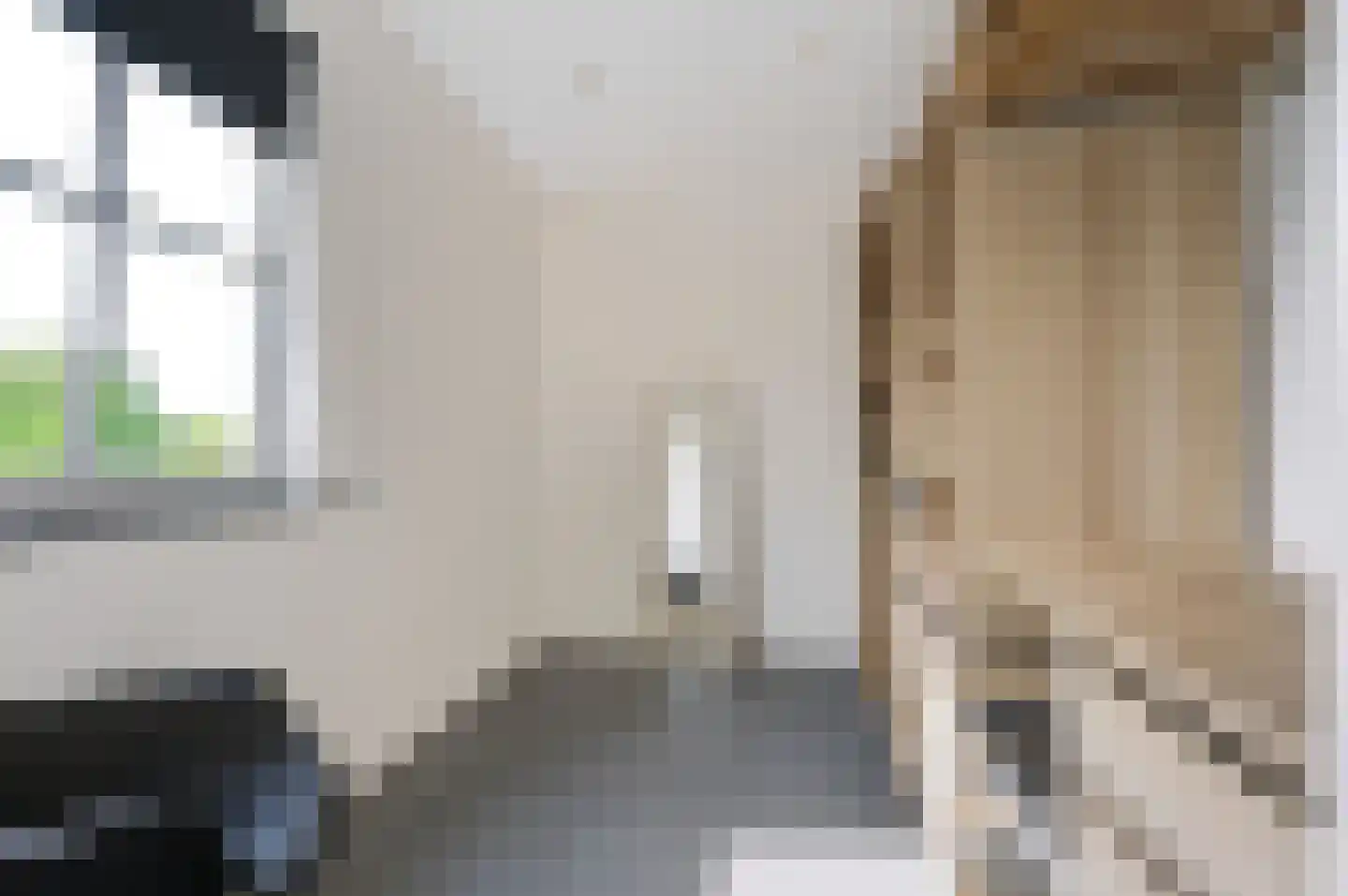 Hoofdstraat 132 A Voorthuizen thumbnail 36