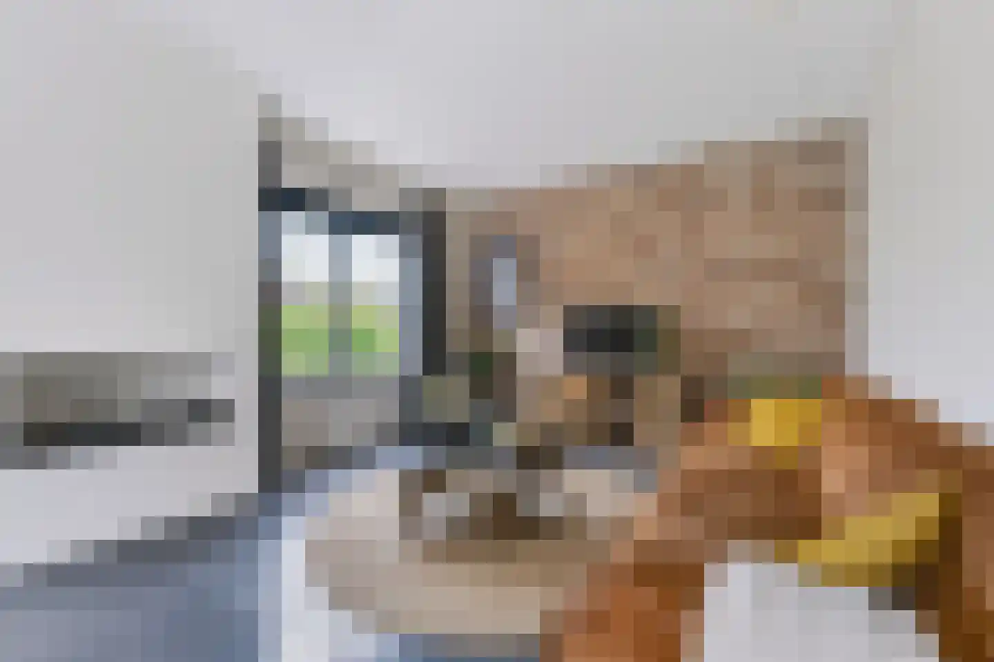 Hoofdstraat 132 A Voorthuizen thumbnail 4