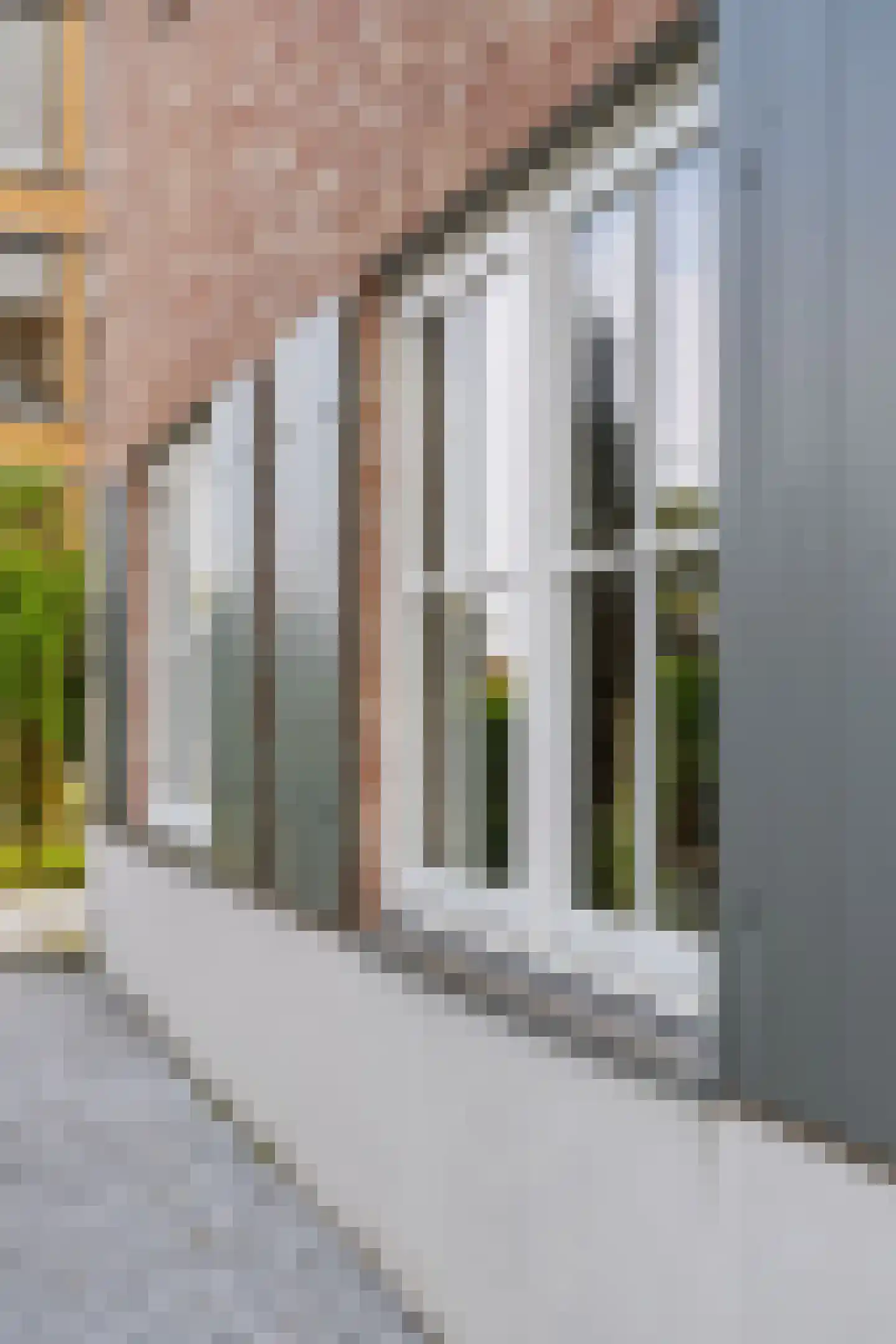 Hoofdstraat 132 A Voorthuizen thumbnail 40