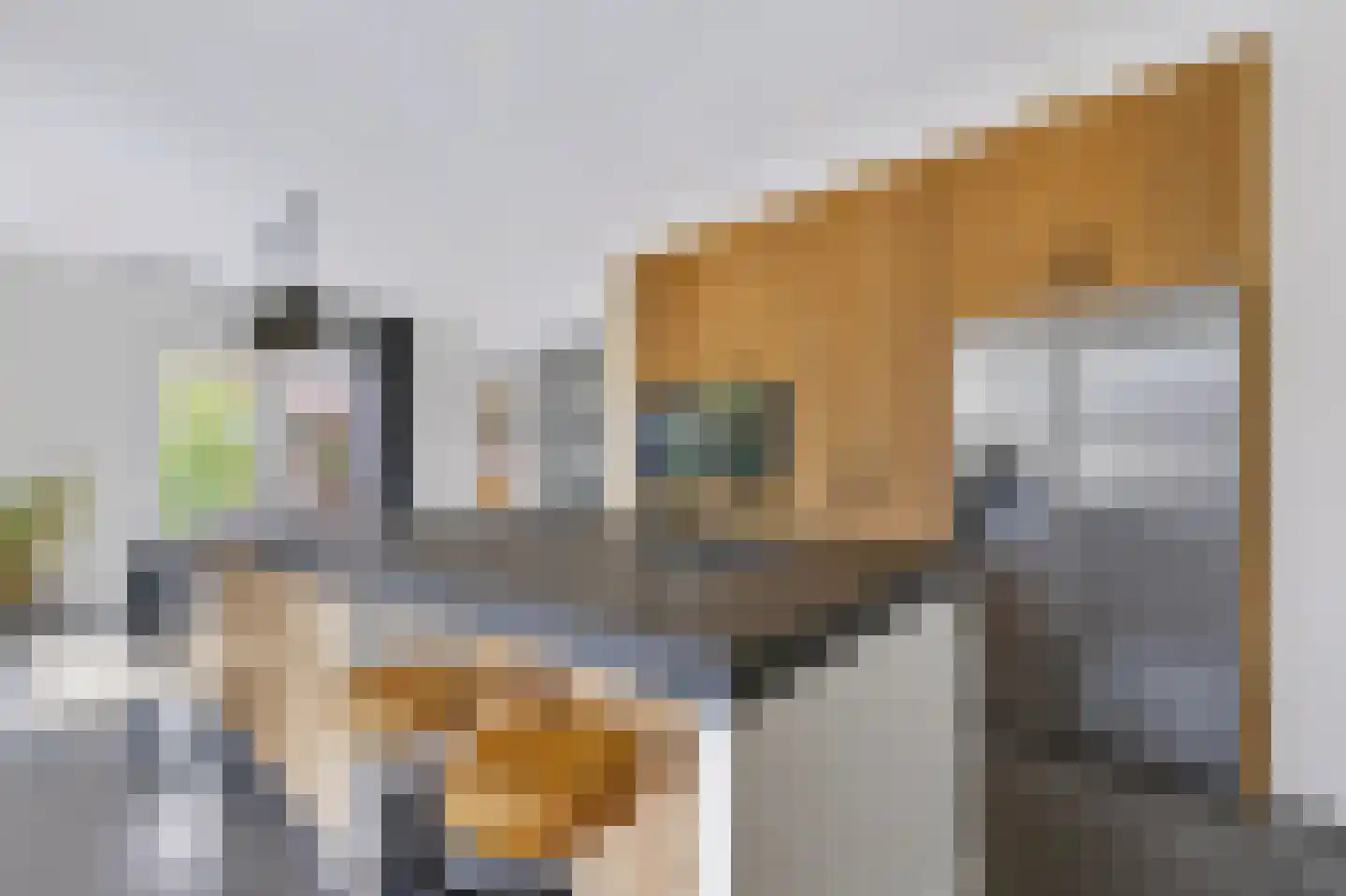 Hoofdstraat 132 A Voorthuizen thumbnail 8