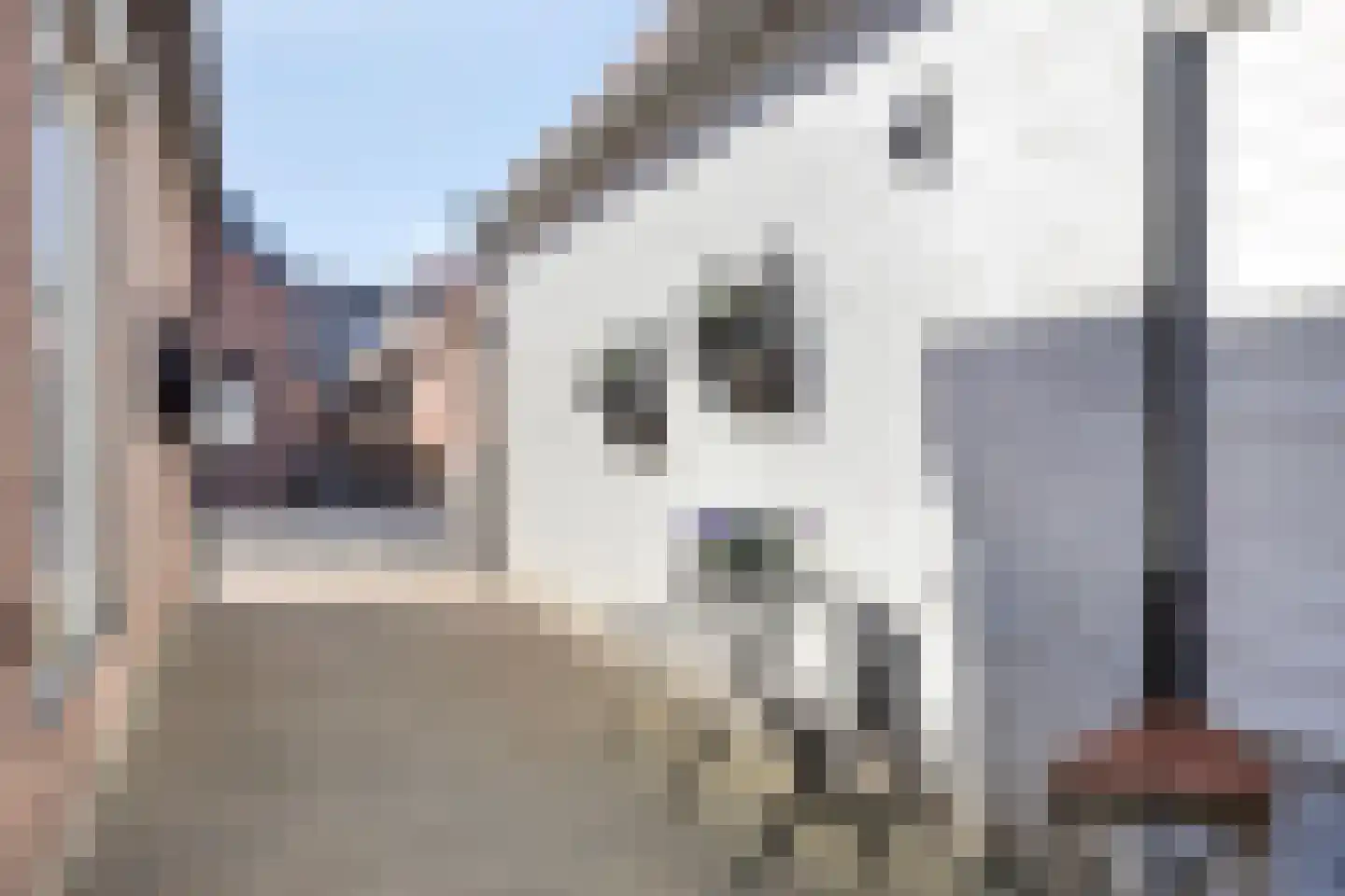 Hoofdstraat 132 Oldemarkt thumbnail 42