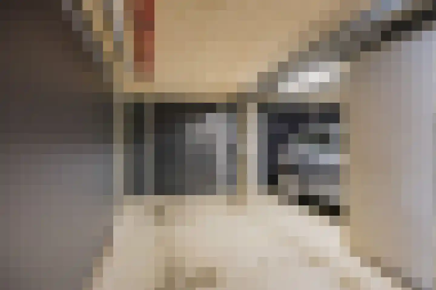 Hoofdstraat 135 F Hillegom thumbnail 36