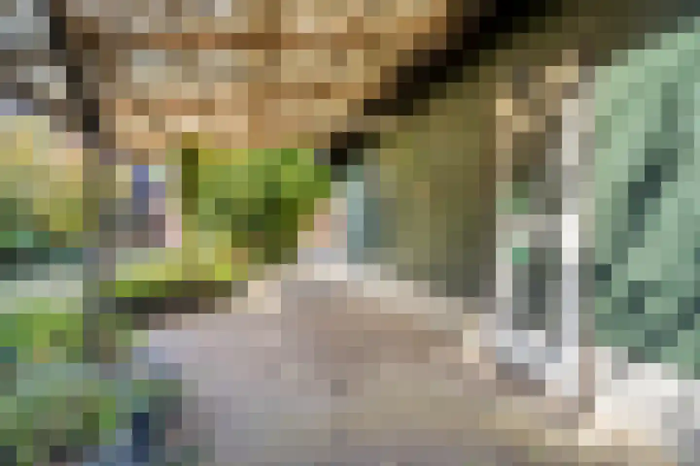 Hoofdstraat 135 Overdinkel thumbnail 37