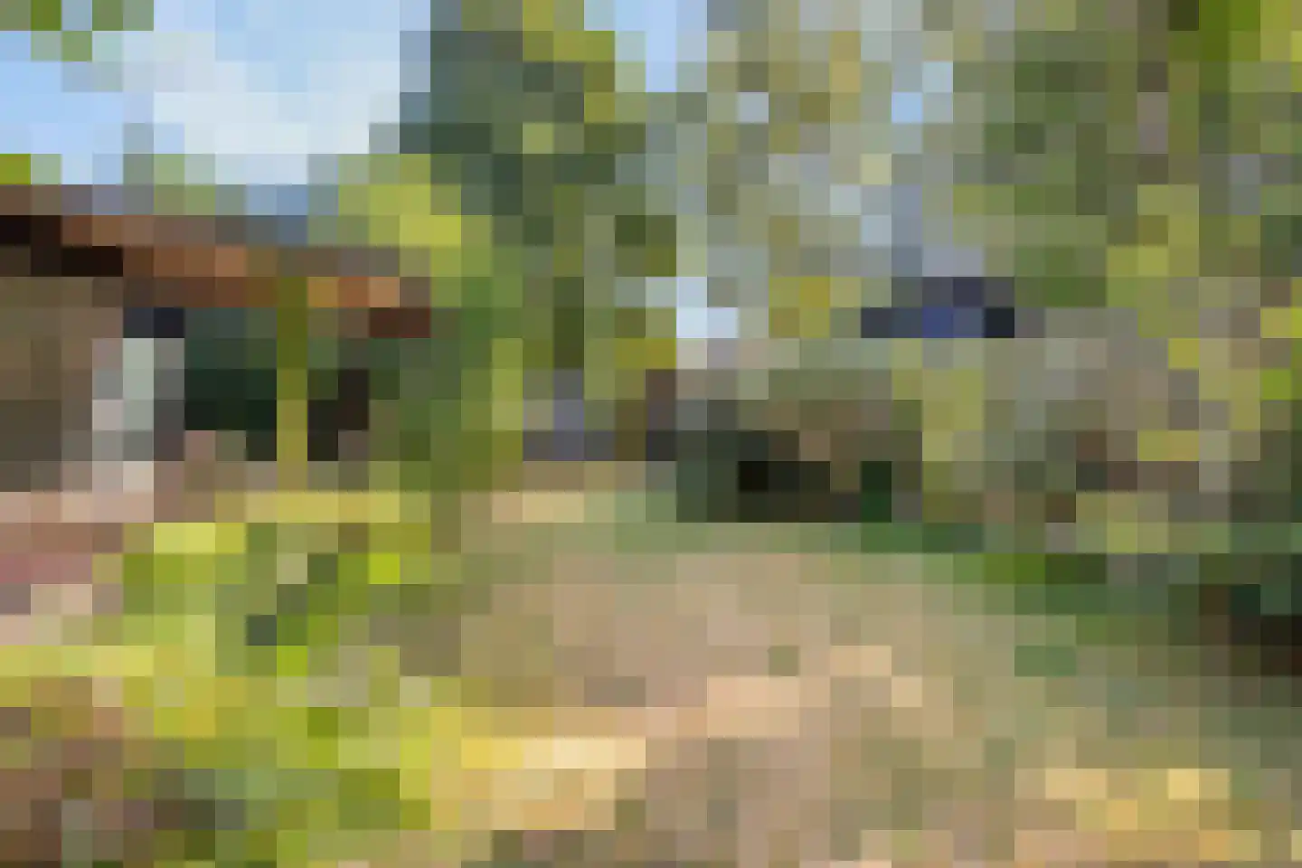 Hoofdstraat 135 Overdinkel thumbnail 4