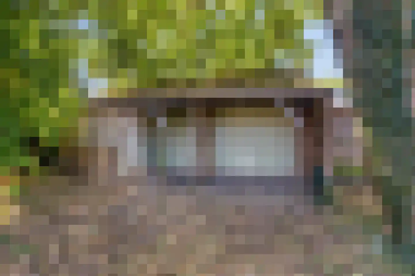 Hoofdstraat 135 Overdinkel thumbnail 44