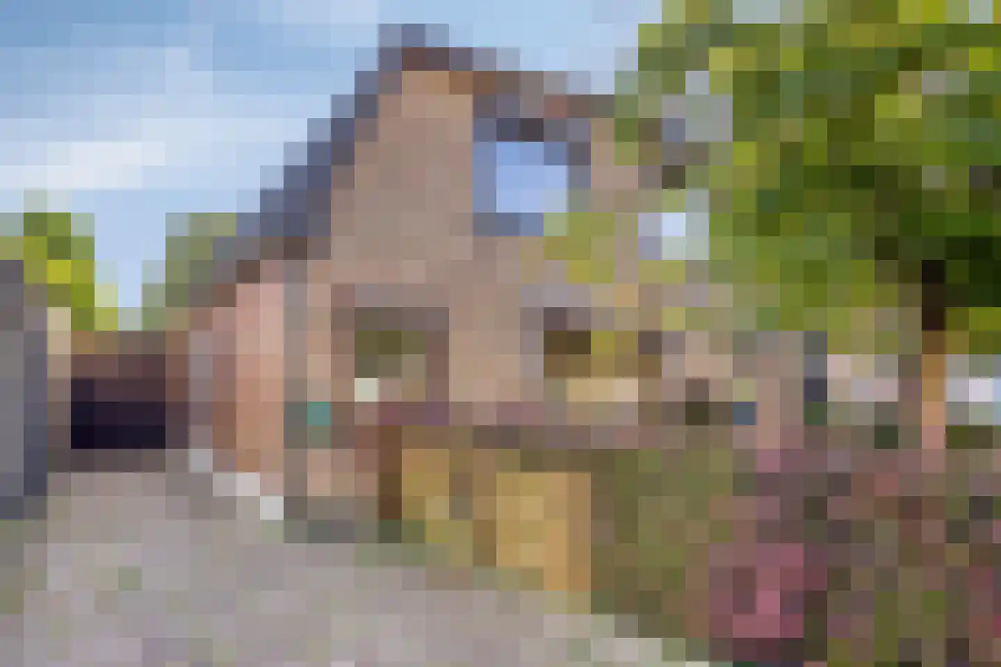 Hoofdstraat 135 Overdinkel thumbnail 5