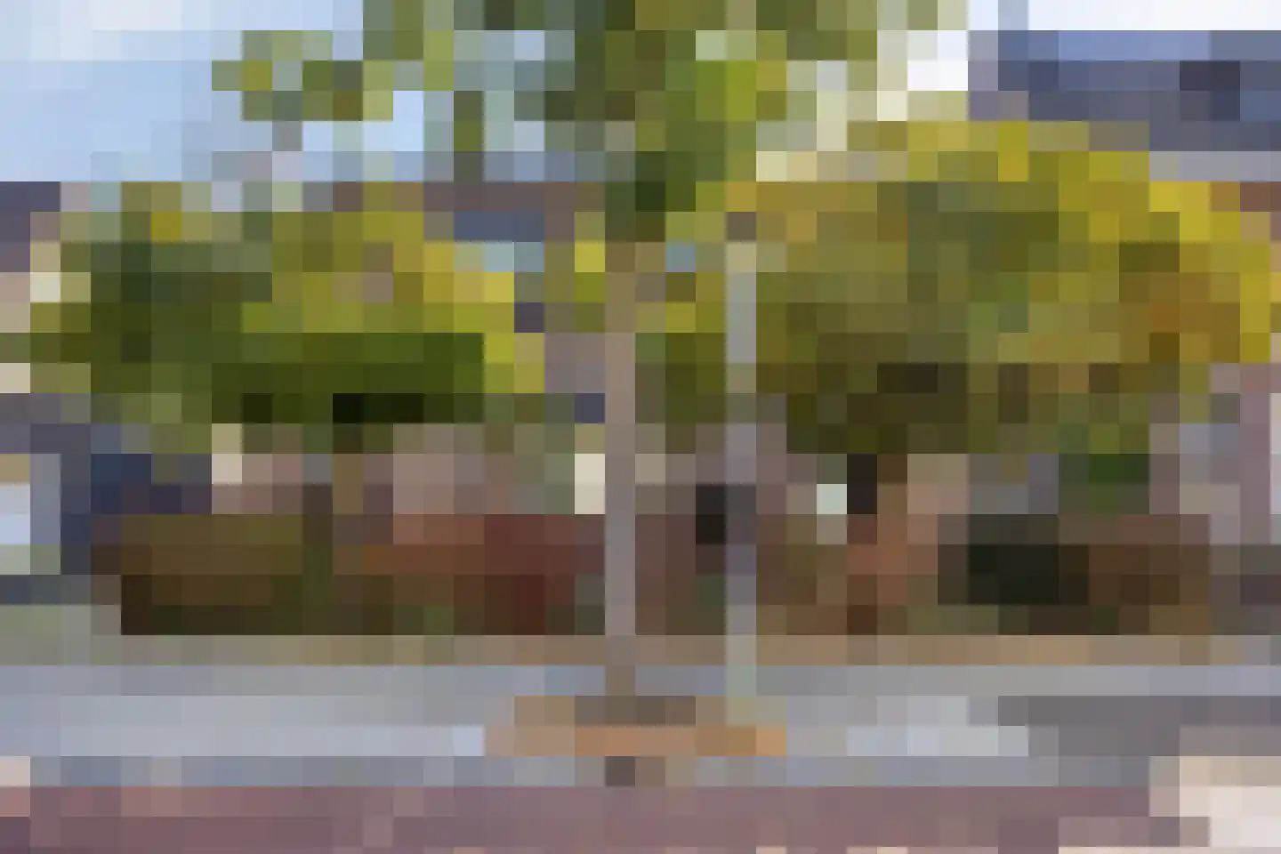 Hoofdstraat 135 Overdinkel thumbnail 51