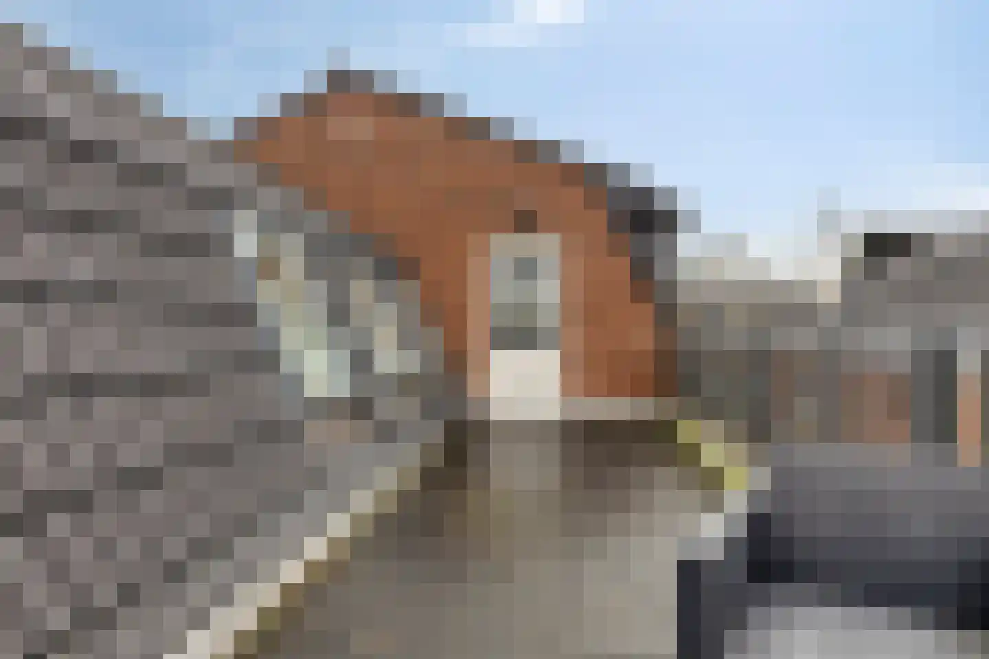 Hoofdstraat 137 Rijen thumbnail 40