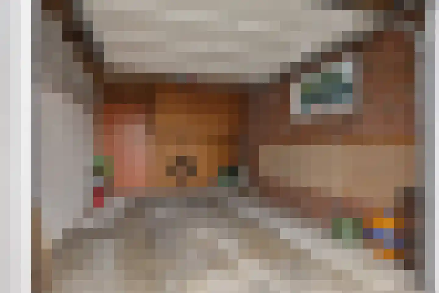 Hoofdstraat 139 Uithuizermeeden thumbnail 48
