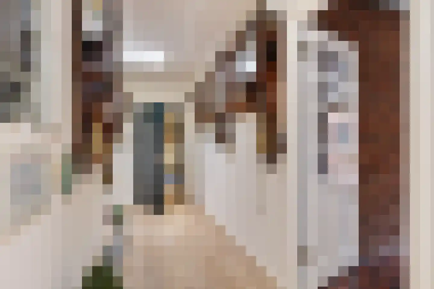 Hoofdstraat 139 Uithuizermeeden thumbnail 7