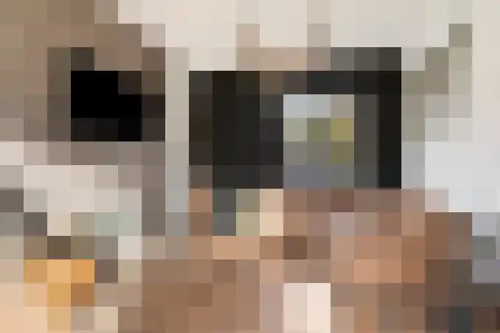 Hoofdstraat 14 Drouwenerveen thumbnail 11