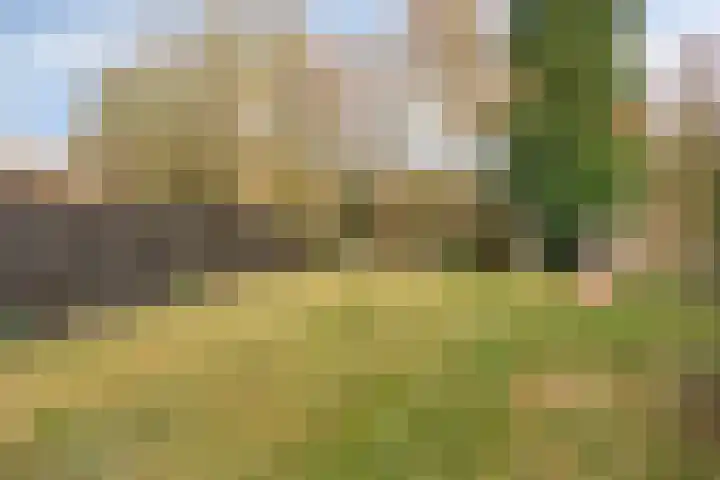 Hoofdstraat 14 Drouwenerveen thumbnail 32