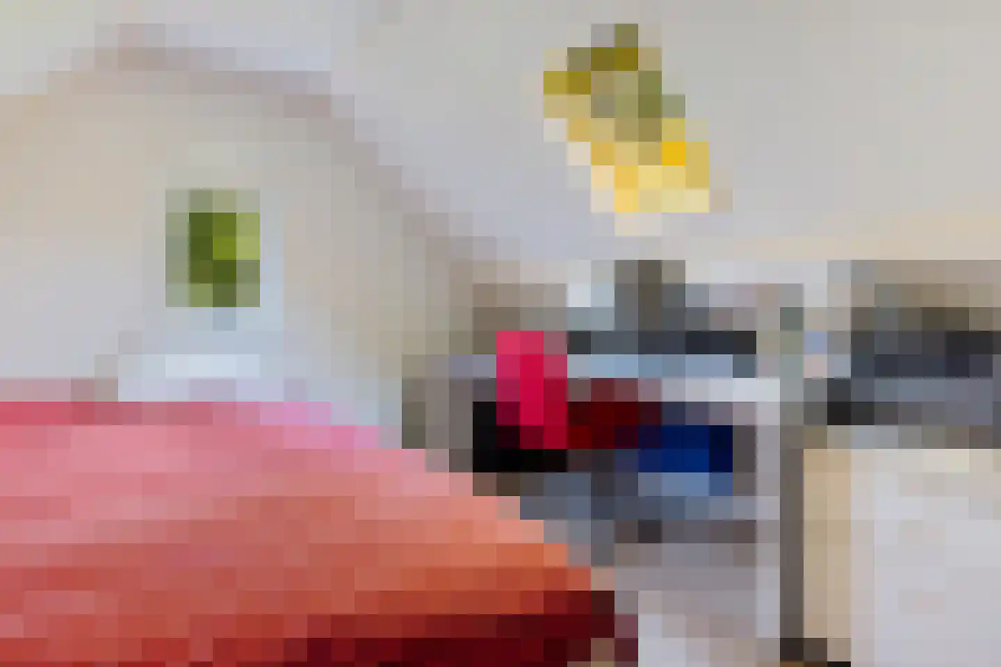 Hoofdstraat 14 Grolloo thumbnail 31