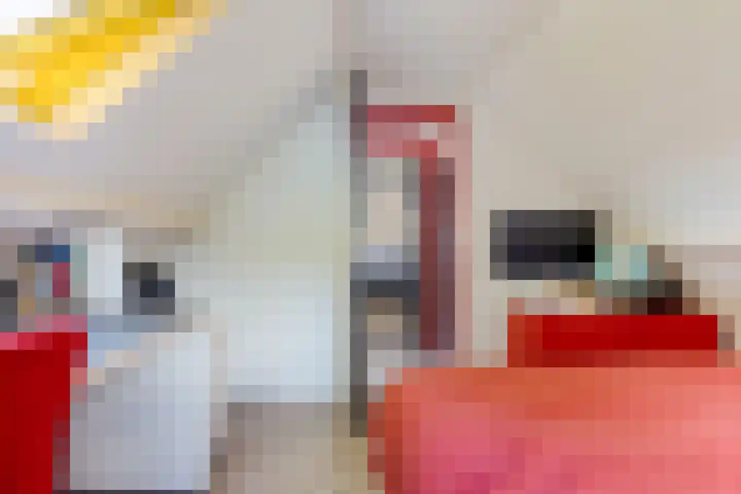 Hoofdstraat 14 Grolloo thumbnail 32