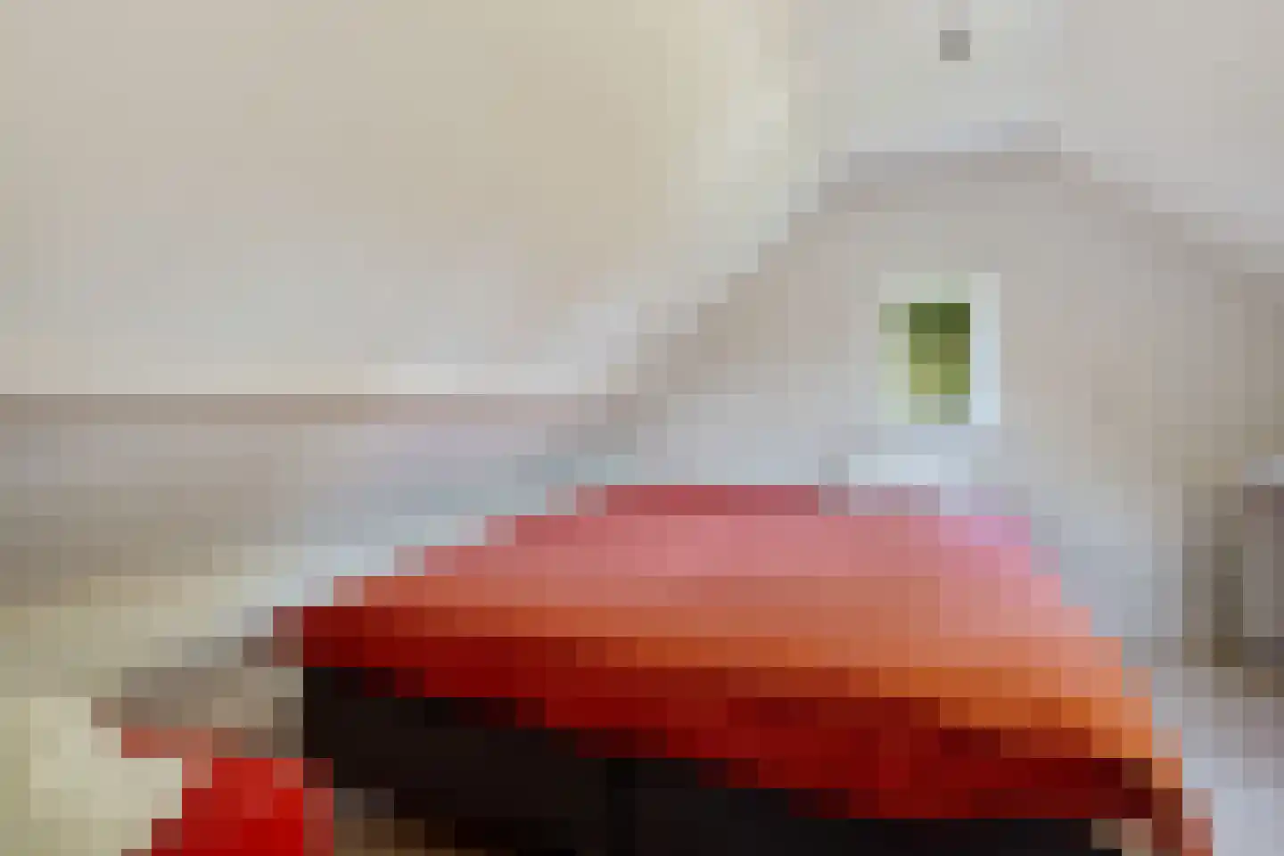 Hoofdstraat 14 Grolloo thumbnail 33