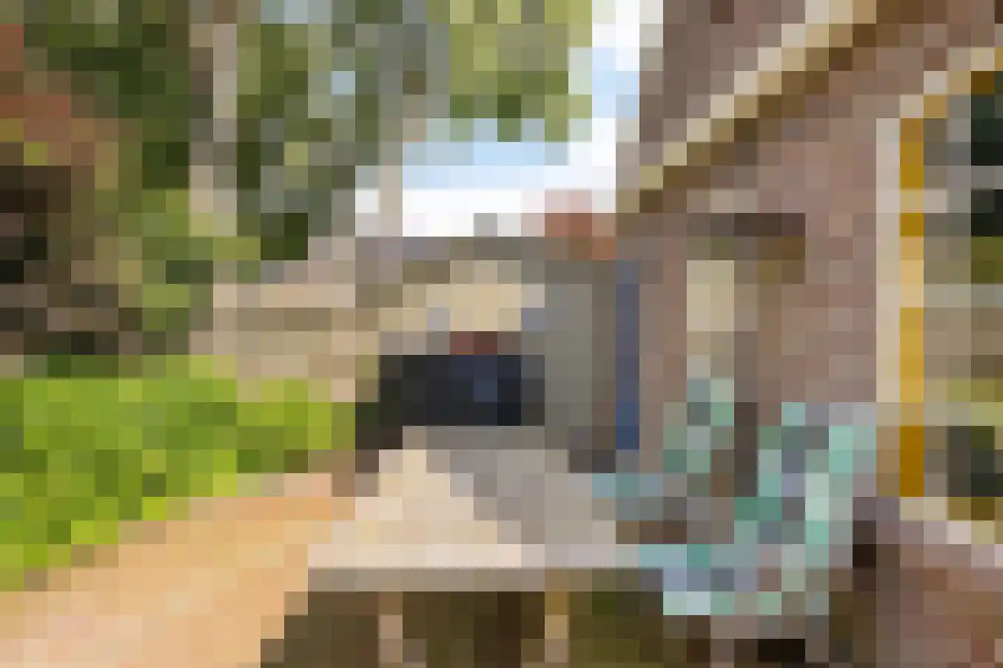 Hoofdstraat 14 Grolloo thumbnail 34