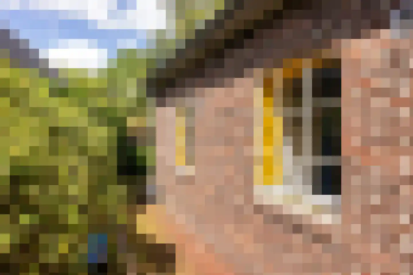 Hoofdstraat 14 Grolloo thumbnail 40