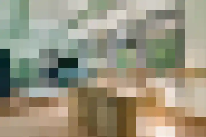 Hoofdstraat 14 Herten thumbnail 10