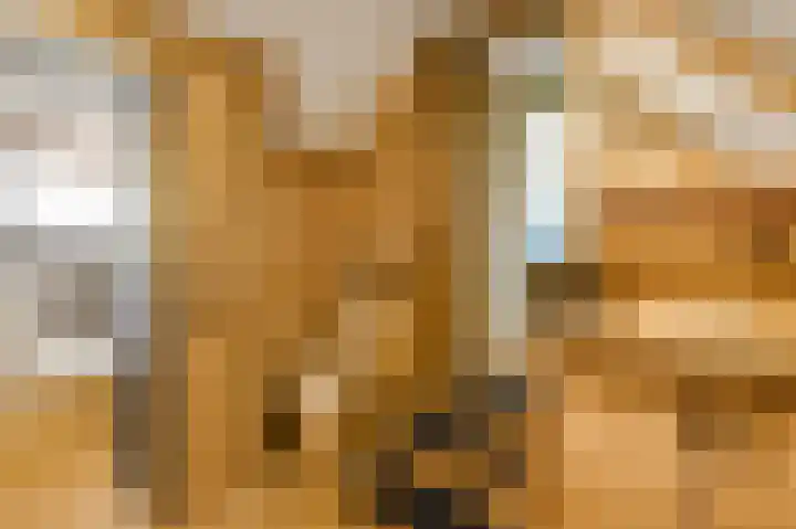 Hoofdstraat 14 Herten thumbnail 21