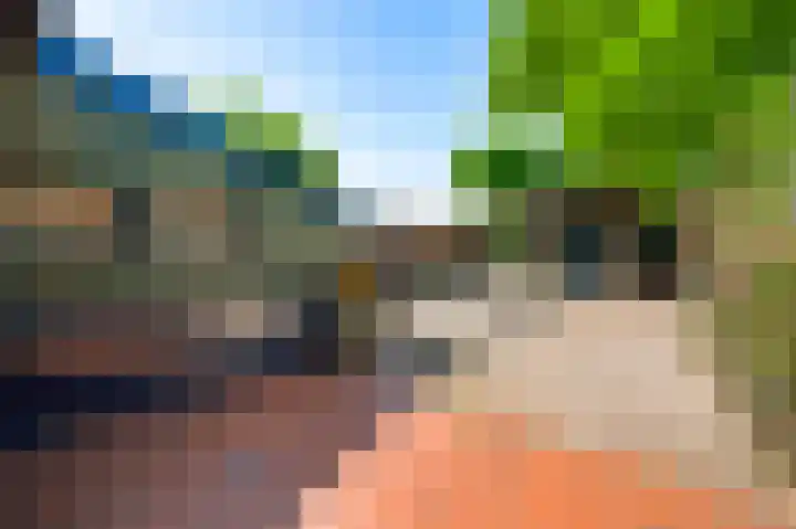 Hoofdstraat 14 Herten thumbnail 30