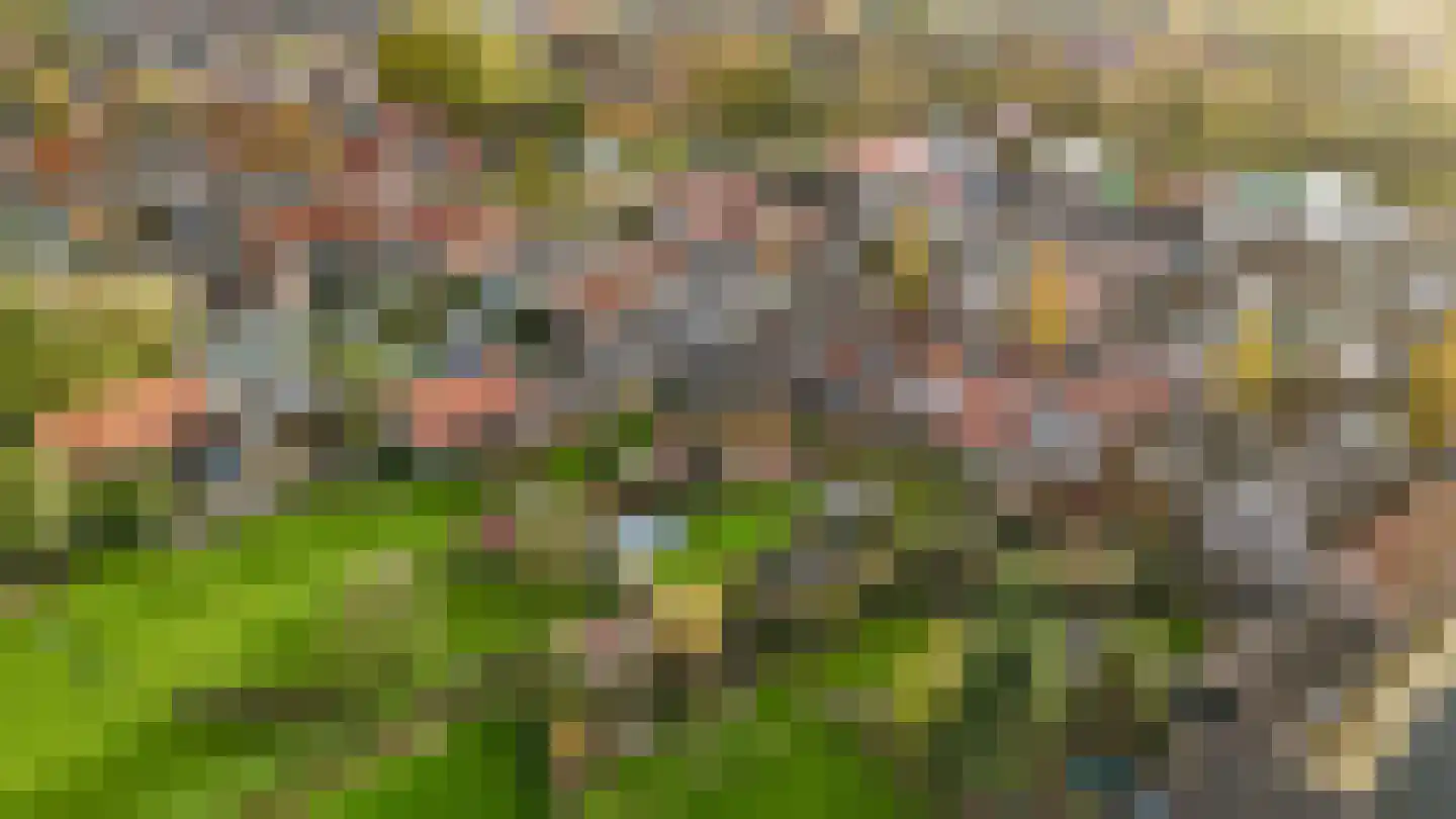 Hoofdstraat 140 Oldemarkt thumbnail 59