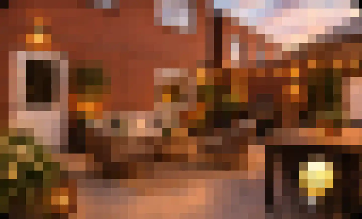Hoofdstraat 141 Emmen thumbnail 38