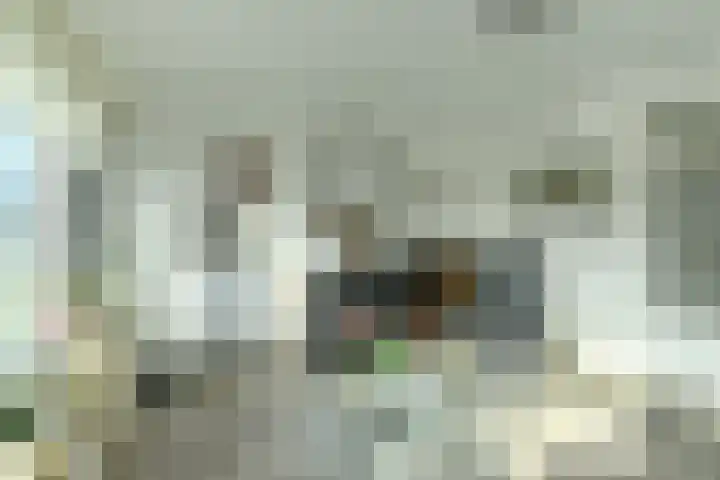Hoofdstraat 144 Velp thumbnail 12