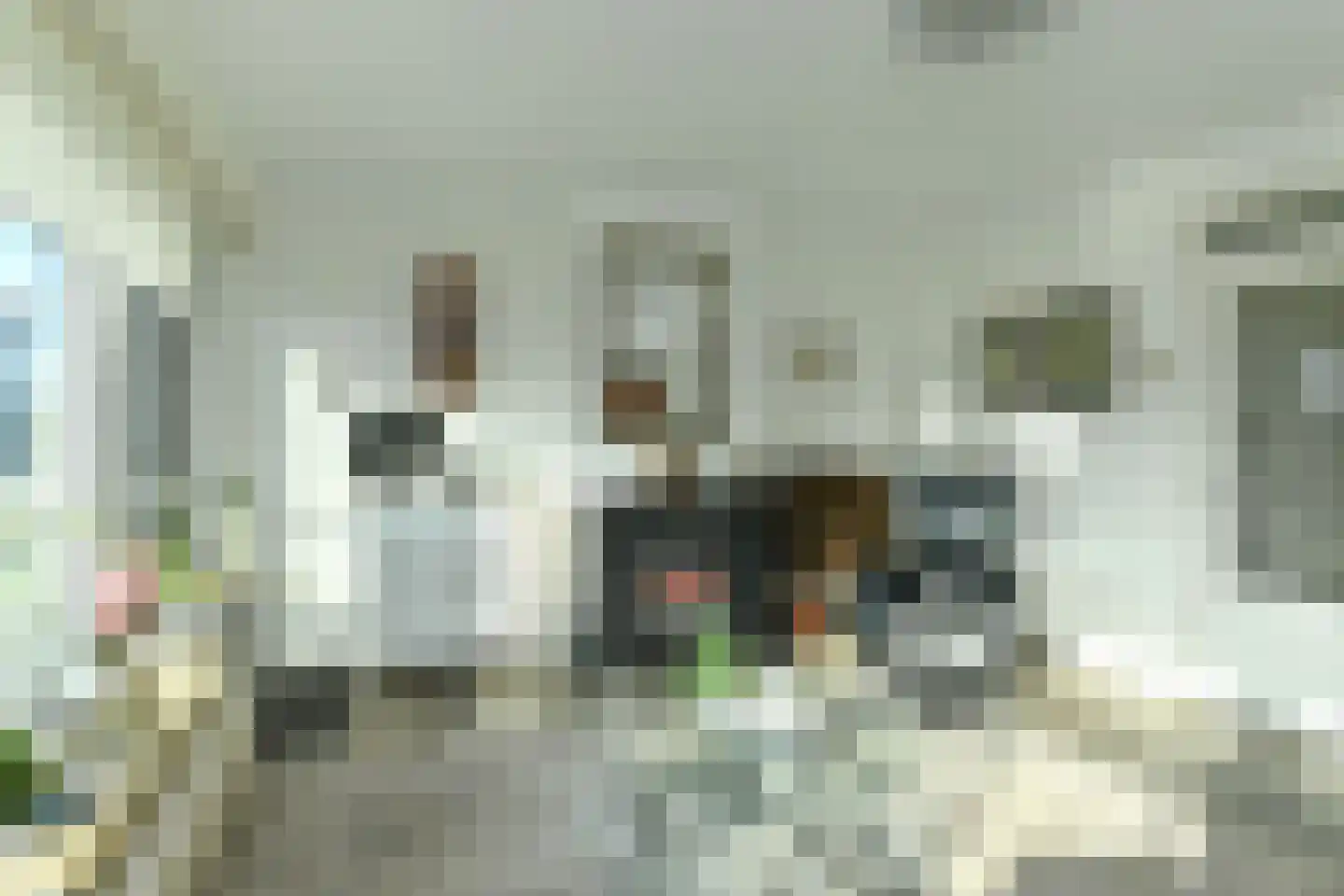 Hoofdstraat 144 Velp thumbnail 12