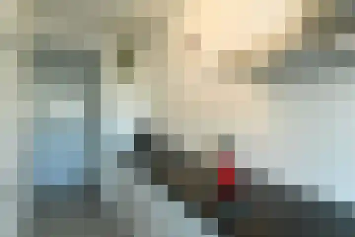 Hoofdstraat 144 Velp thumbnail 23