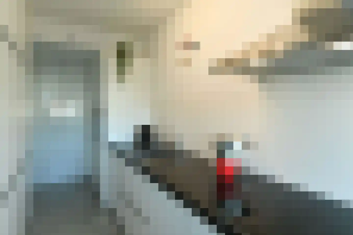 Hoofdstraat 144 Velp thumbnail 23