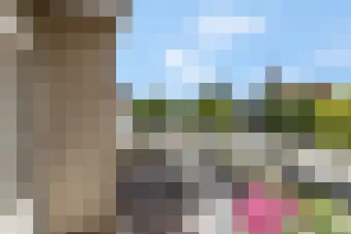 Hoofdstraat 147 B Voorthuizen thumbnail 17
