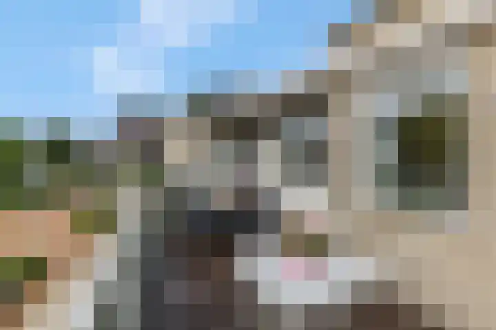 Hoofdstraat 147 B Voorthuizen thumbnail 19